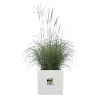 vivo next quadrat 40cm weiss